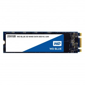 western-digital-blue-3d-250go-m-2-1.jpg