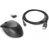 hp-wireless-premium-mouse-rf-sans-fil-laser-1200dpi-ambidextre-noir-souris-1.jpg