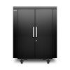 apc-netshelter-cx-18u-etagere-rack-autonome-noir-3.jpg